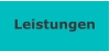 Leistungen